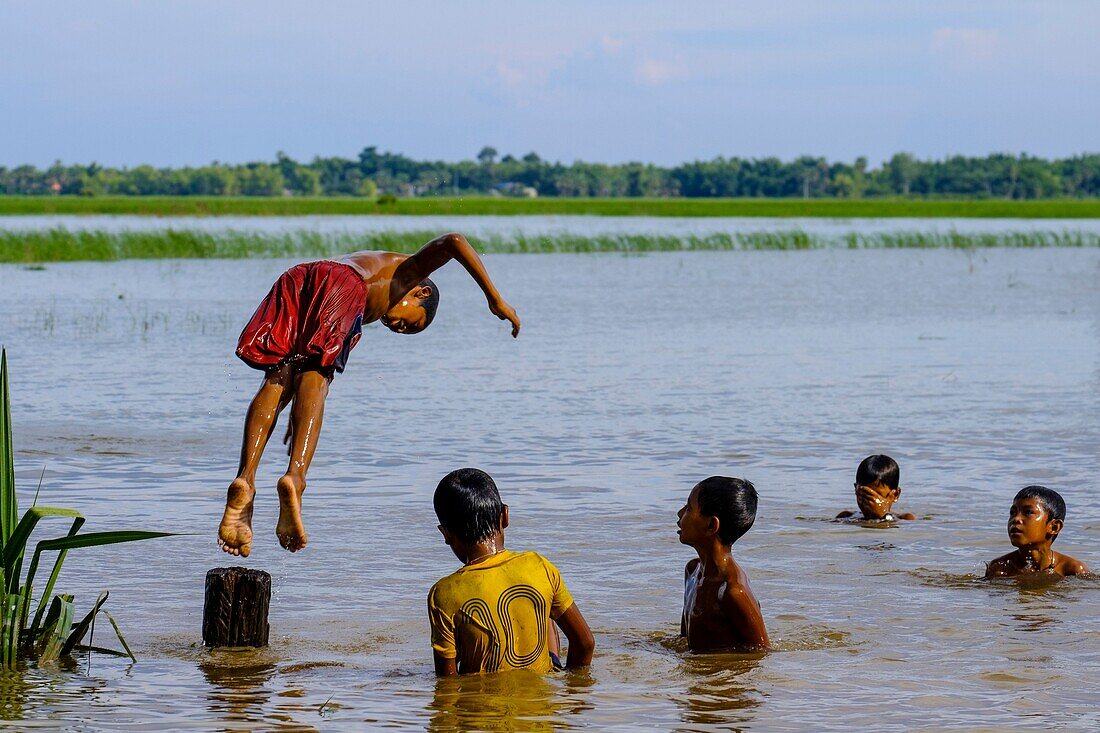 Cambodia, Kompong Thom province, Kompong Thom or Kampong Thom, children playing in the flooded ricefields