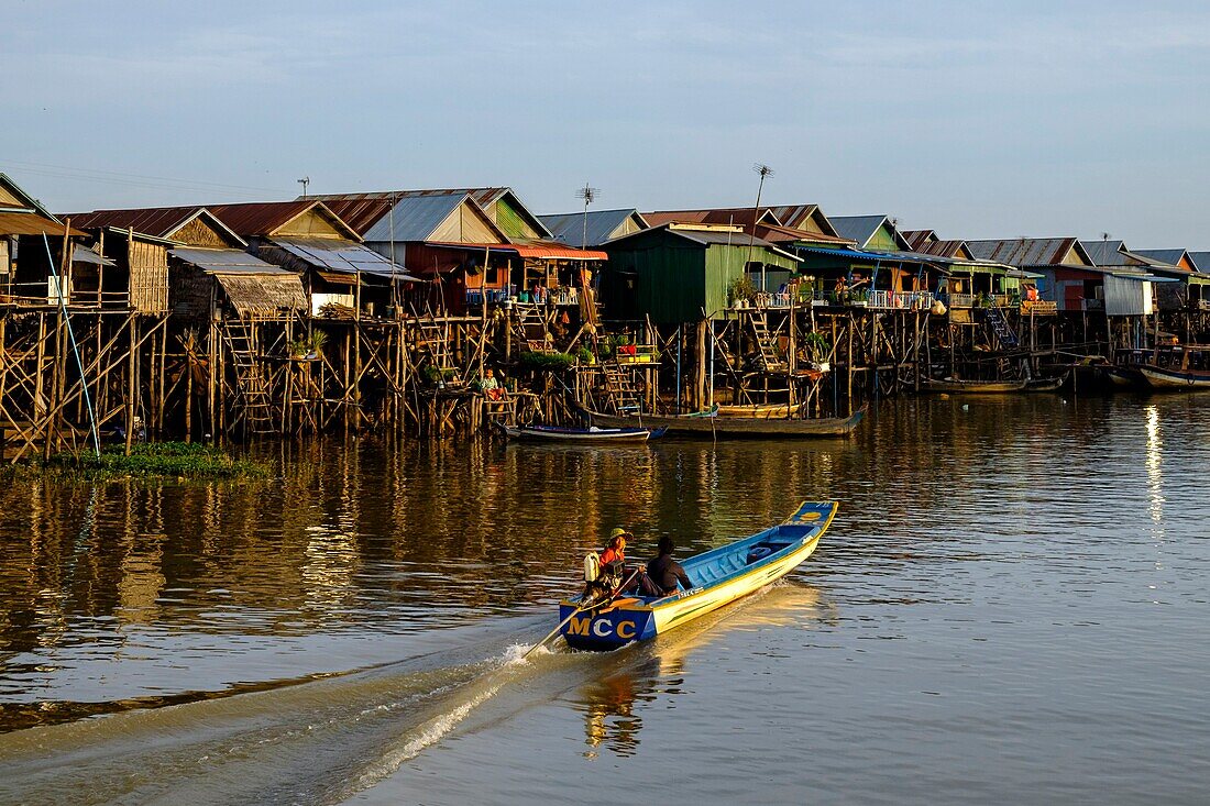 Cambodia, Kompong Phluc or Kampong Phluc, near Siem Reap, stilt house village, flooded forest on the banks of Tonlé Sap lake