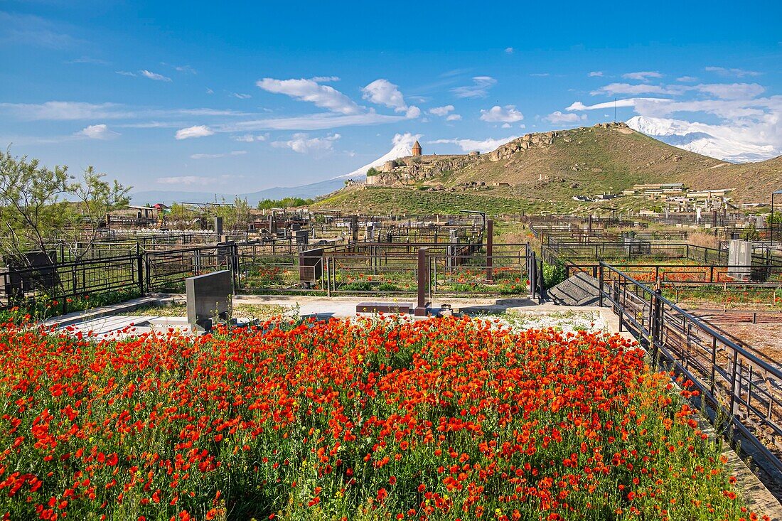 Armenien, Ararat-Region, Friedhof am Fuße des Klosters Khor Virap, im Hintergrund der Berg Ararat