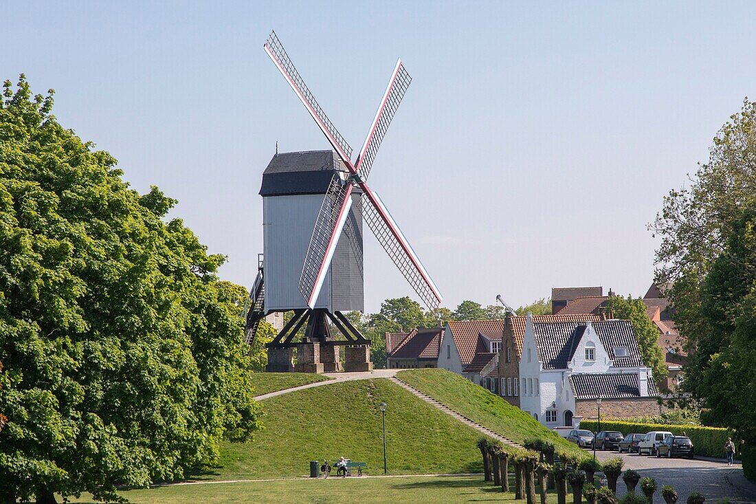 Belgium, Western Flanders, Bruges, Kruisvest park, bonne Chieremolen mill