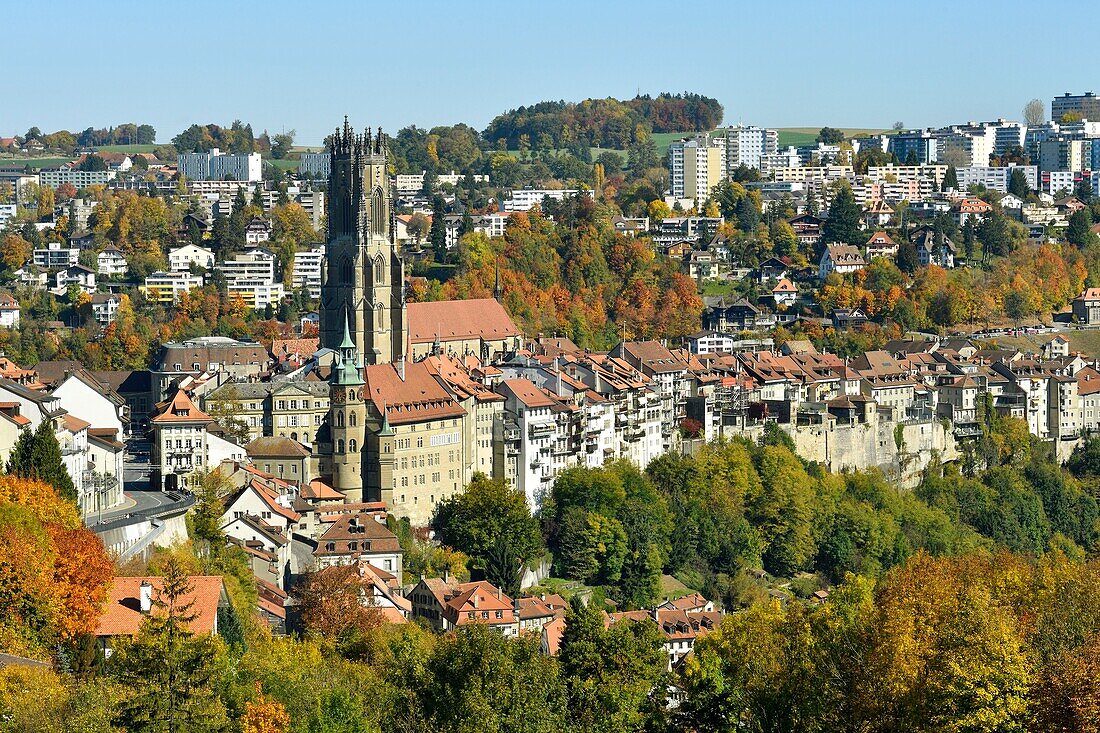 Schweiz, Kanton Freiburg, Freiburg, Rathaus und Sankt-Nikolaus-Kathedrale