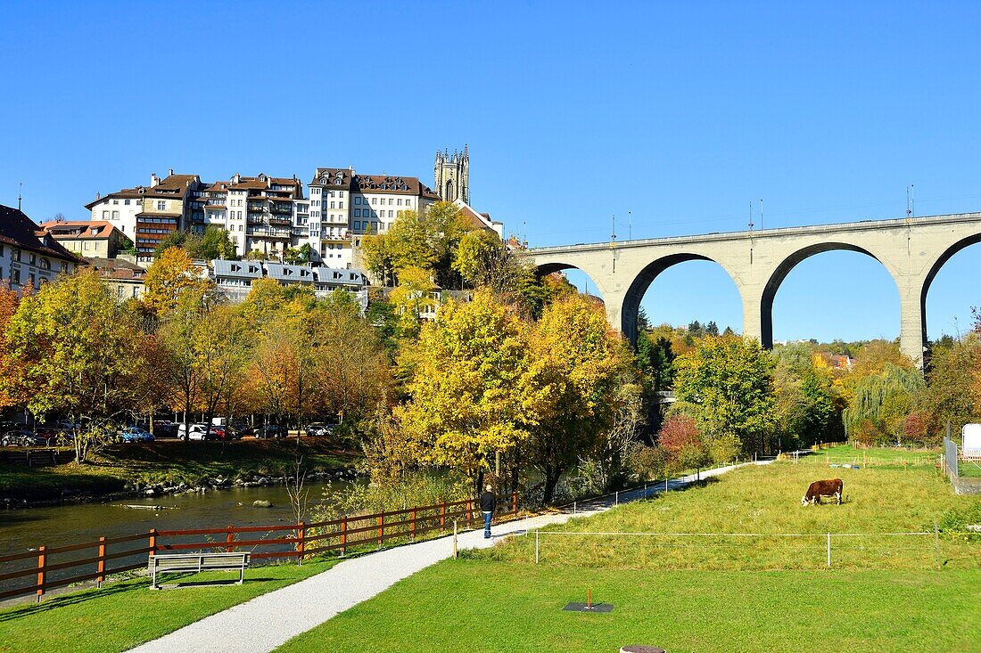 Switzerland, Canton of Fribourg, Fribourg, Sarine River (Saane River) banks, Zaehringen Bridge