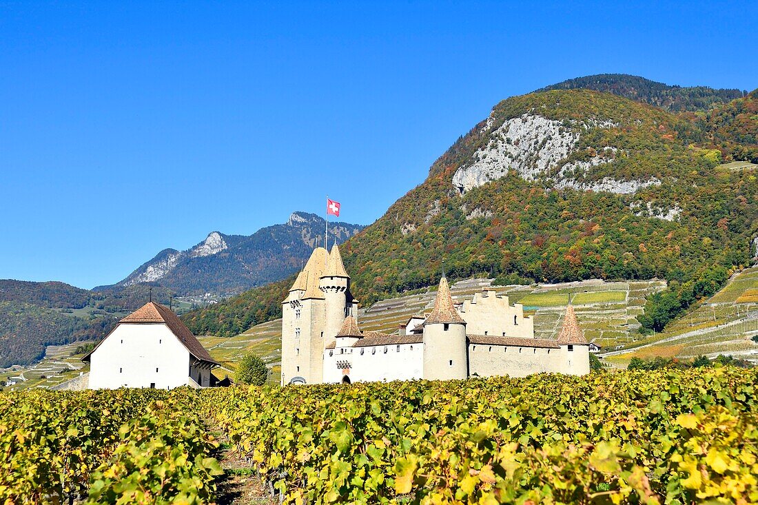 Schweiz, Kanton Waadt, Aigle, das von Weinbergen umgebene Schloss