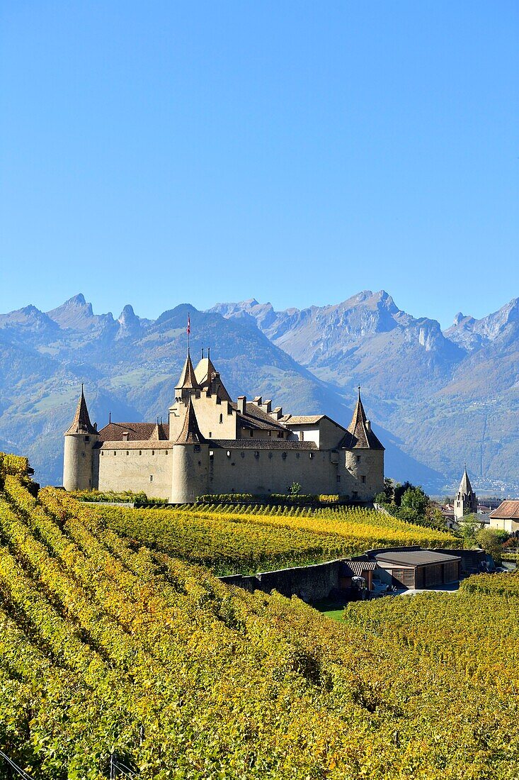 Schweiz, Kanton Waadt, Aigle, das von Weinbergen umgebene Schloss