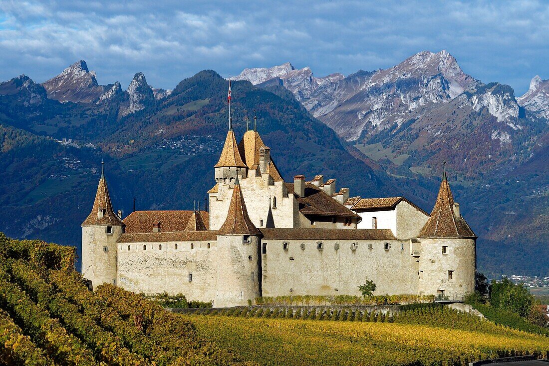 Schweiz, Kanton Waadt, Aigle, das von Weinbergen umgebene Schloss