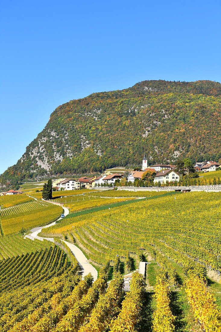 Schweiz, Kanton Waadt, Aigle, kleines Städtchen inmitten von Weinbergen