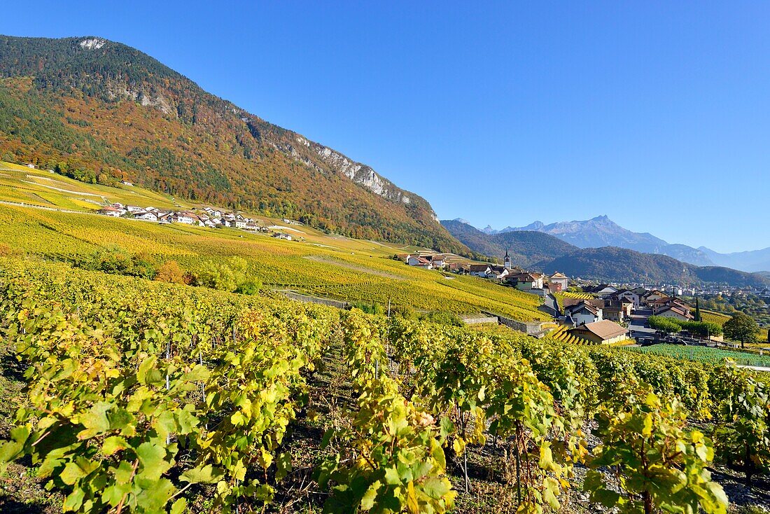 Schweiz, Kanton Waadt, Yvorne, kleines Städtchen inmitten von Weinbergen