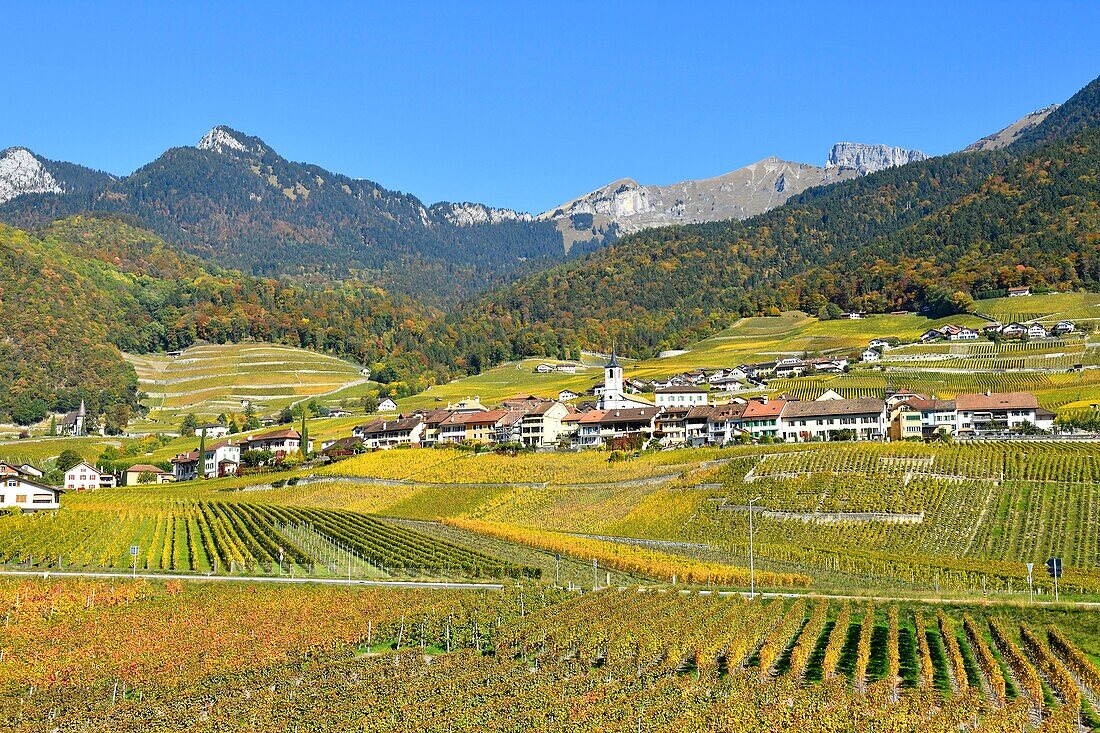 Schweiz, Kanton Waadt, Yvorne, kleines Städtchen inmitten von Weinbergen