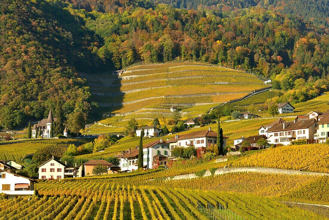 Schweiz, Kanton Waadt, Yvorne, kleines Städtchen inmitten von Weinbergen