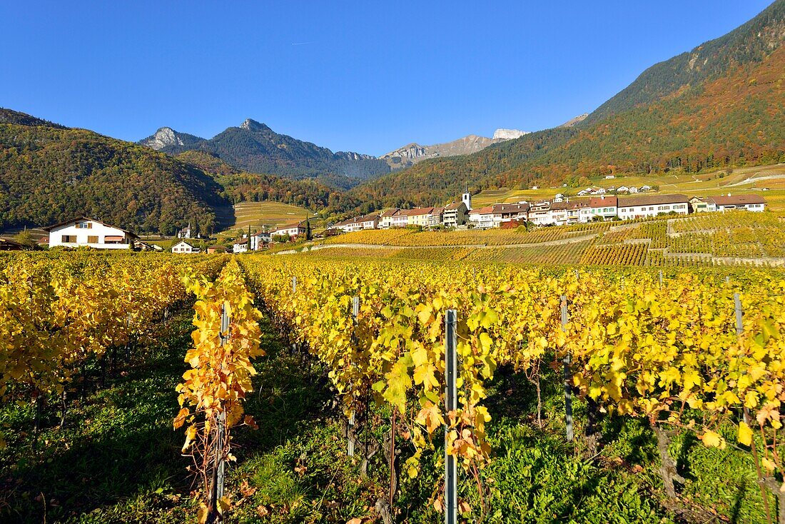 Schweiz, Kanton Waadt, Yvorne, kleines Städtchen inmitten von Weinbergen