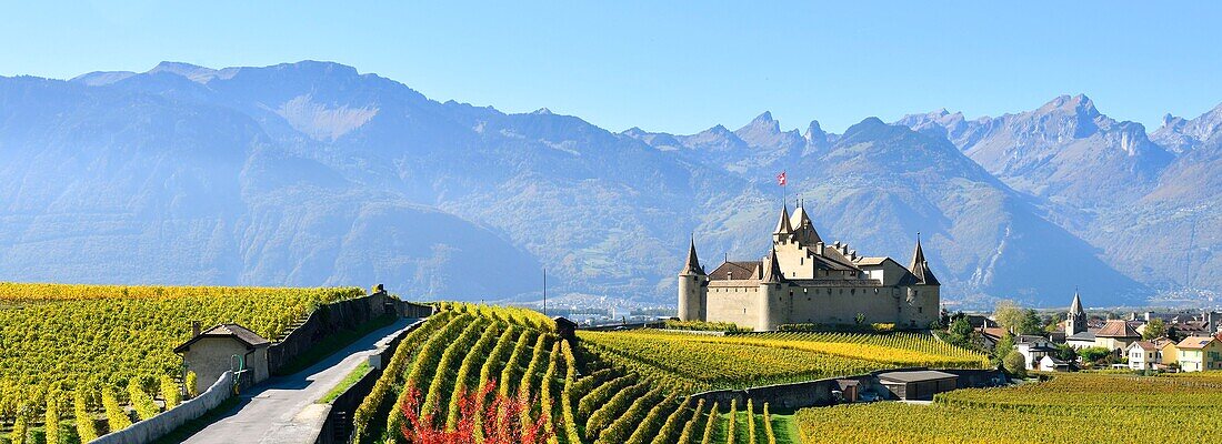 Schweiz, Kanton Waadt, Aigle, das von Weinbergen umgebene Schloss