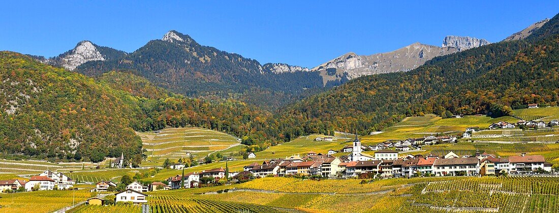 Schweiz, Kanton Waadt, Yvorne, kleines Städtchen inmitten von Weinbergen