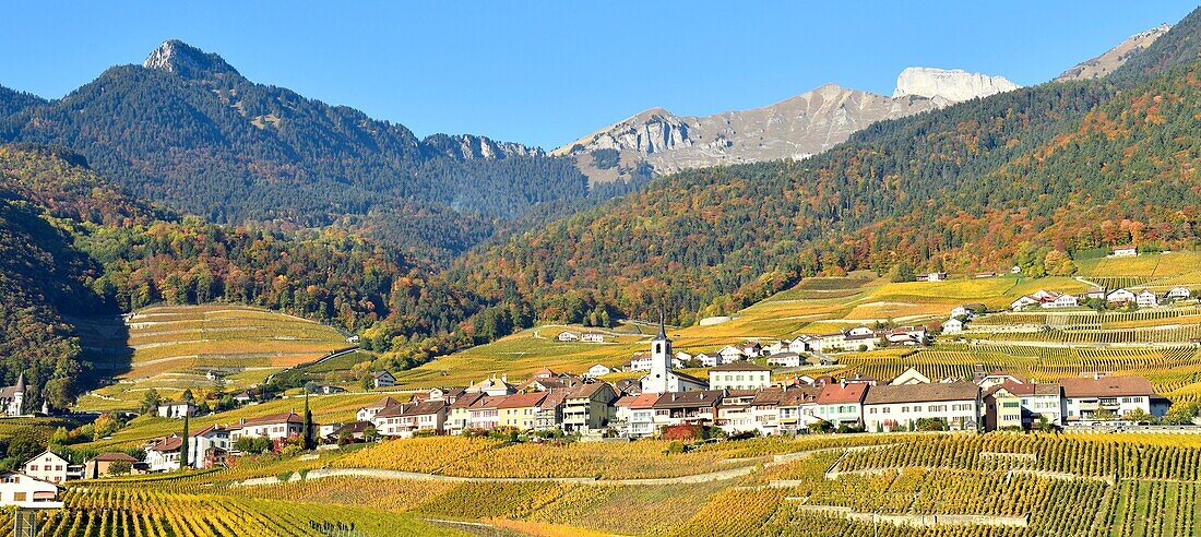 Schweiz, Kanton Waadt, Yvorne, kleines Städtchen inmitten von Weinbergen