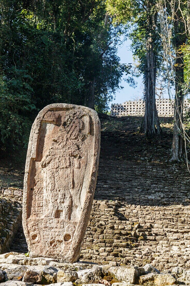 Mexiko, Bundesstaat Chiapas, Yaxchilan, Maya-Ausgrabungsstätte, geschnitzte Stelen und die Treppe, die zur großen Akropolis führt