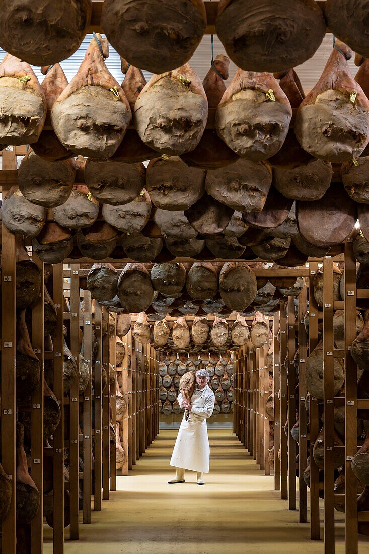 France, Pyrenees Atlantiques, Basque Country, Pierre Oteiza, breeder and artisan in the Aldudes Valley, the ham dryer