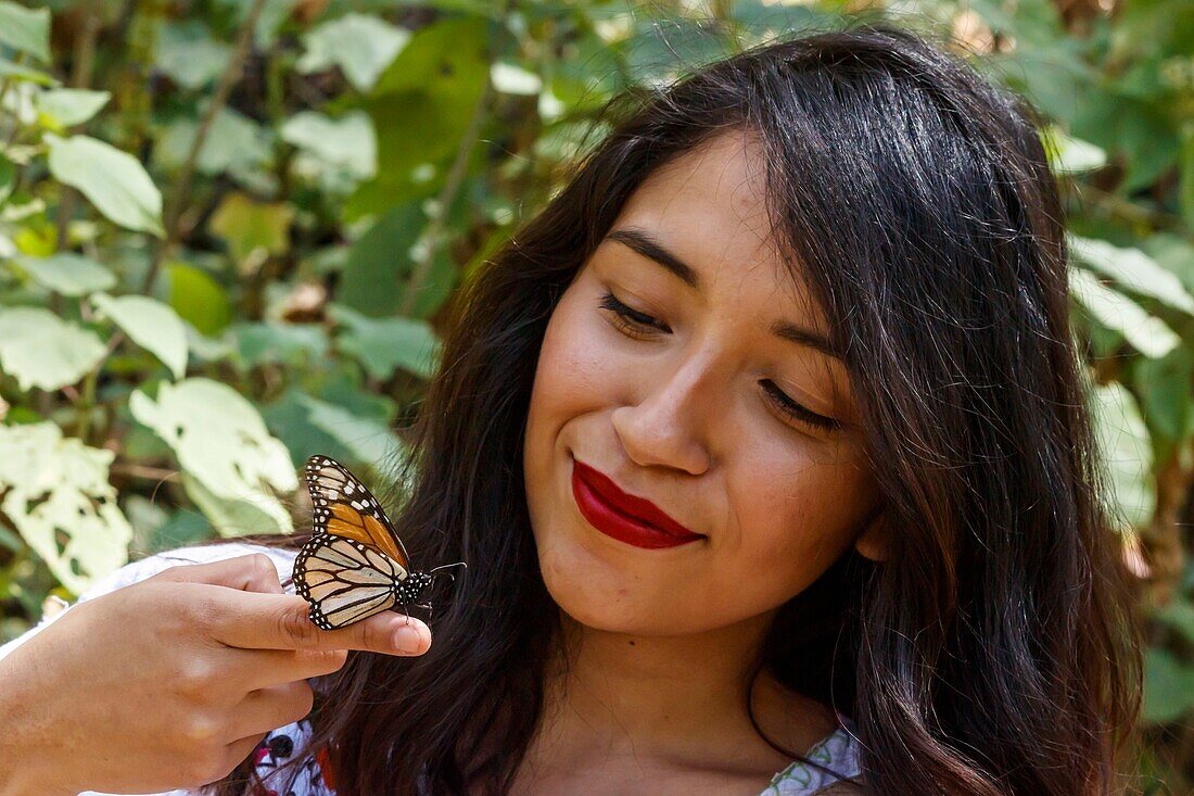 Mexico, Michoacan state, Angangueo, Unesco world heritage, Monarch Butterfly Biosphere Reserve, El Rosario, monarch butterfly on the hand of a mexican woman (Danaus plexippus)