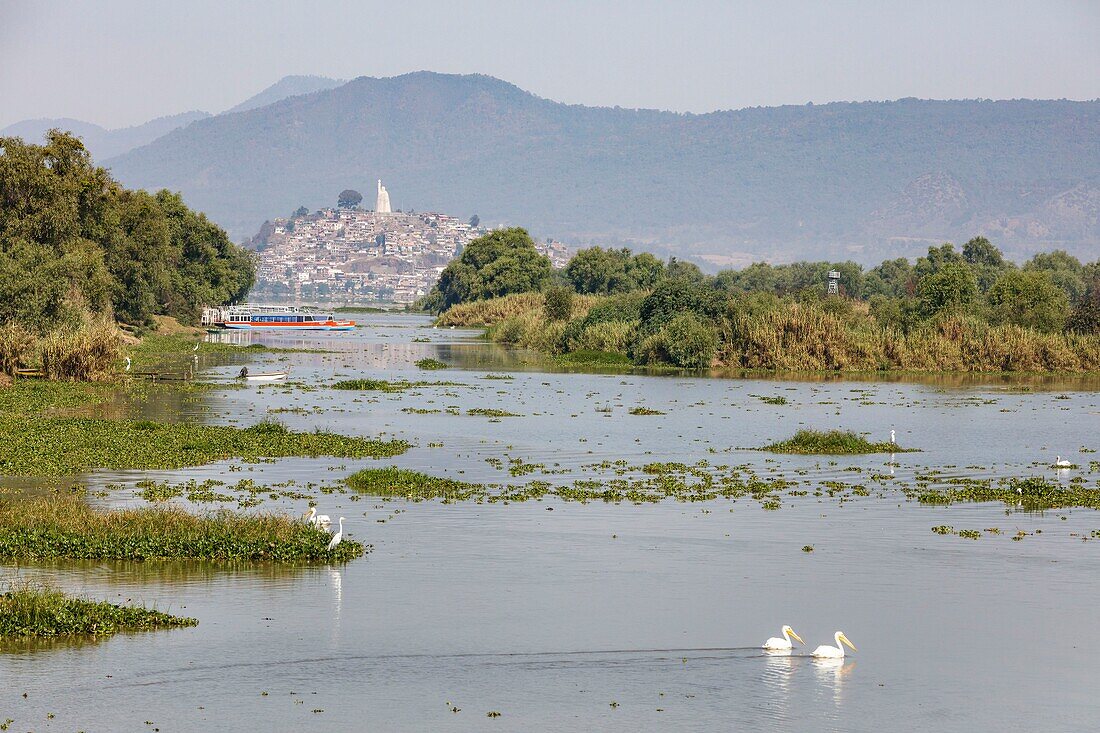 Mexiko, Bundesstaat Michoacan, Patzcuaro, weiße Pelikane auf dem Patzcuaro-See und der Insel Janitzio