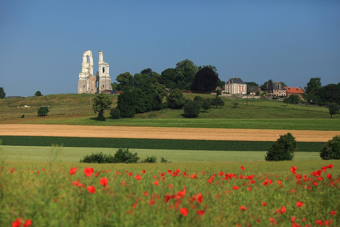 France, Pas de Calais, Mont Saint Eloi, remains abbey and village of Mont Saint Eloi