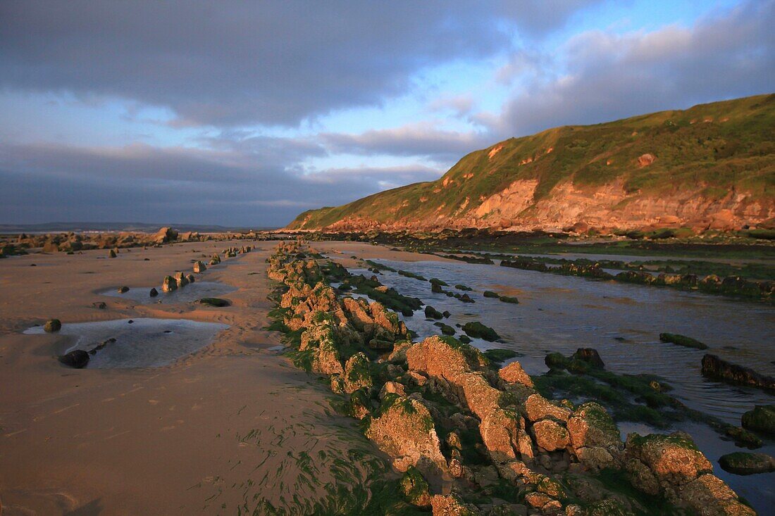 France, Pas de Calais, Audinghen, Cap Gris Nez, Framzelle Beach at Cape Gris Nez at low tide