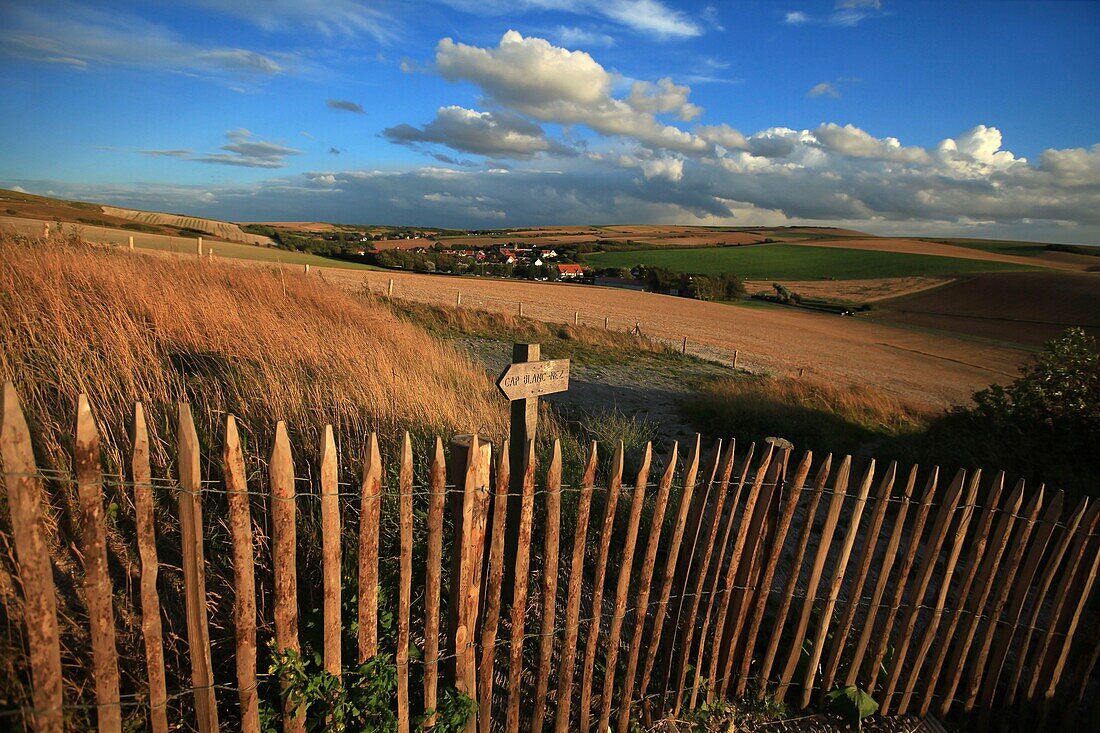 France, Pas de Calais, Escalles, Walk on the trails of Cape Blanc Nez, label Great sites of France