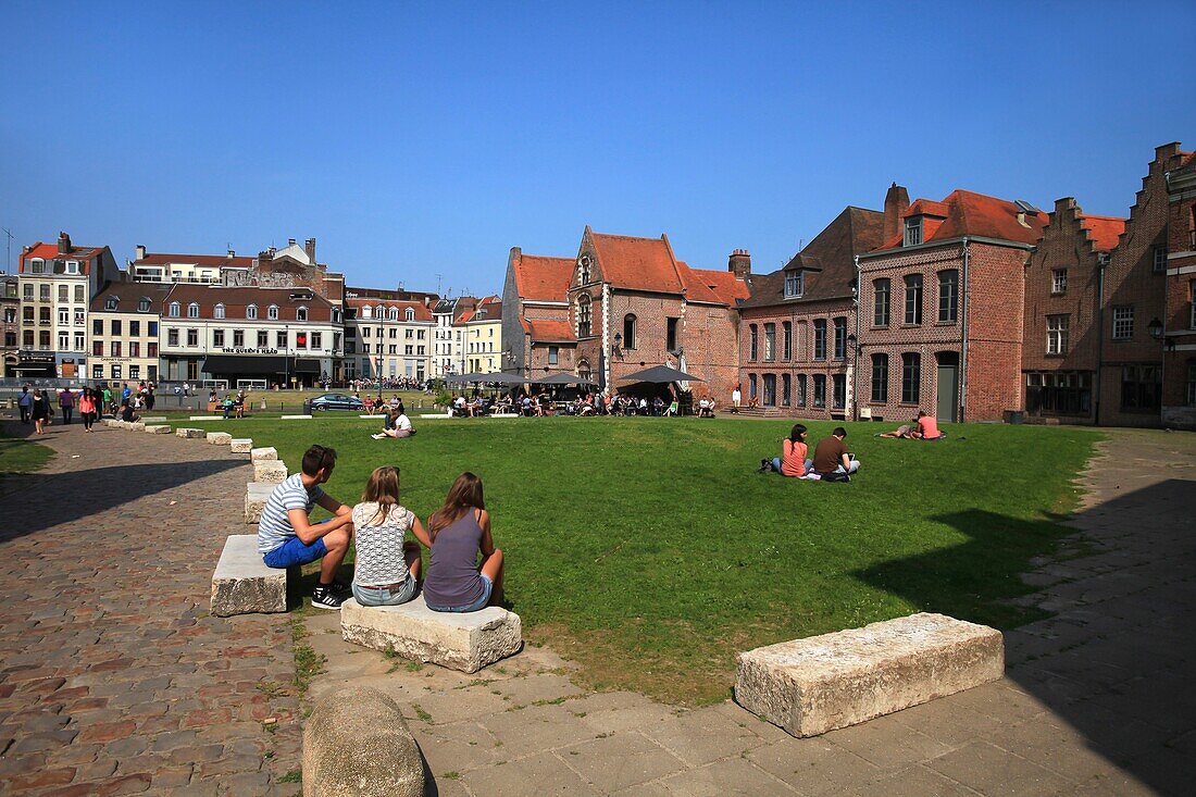 France, Nord, Lille, Lawns of the Belgian People's Avenue in Lille