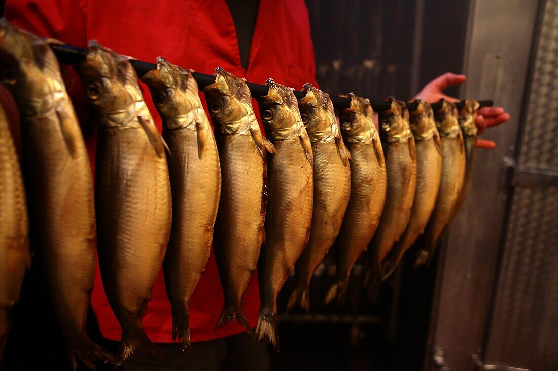 France, Pas de Calais, Boulogne sur Mer, Chez Corrue and Deseille, Saurisseur in Boulogne sur Mer, The herrings are emptied before being soaked in a brine bath. Then they are smoked in ovens. The ovens work with sawdust, which allows a slow combustion