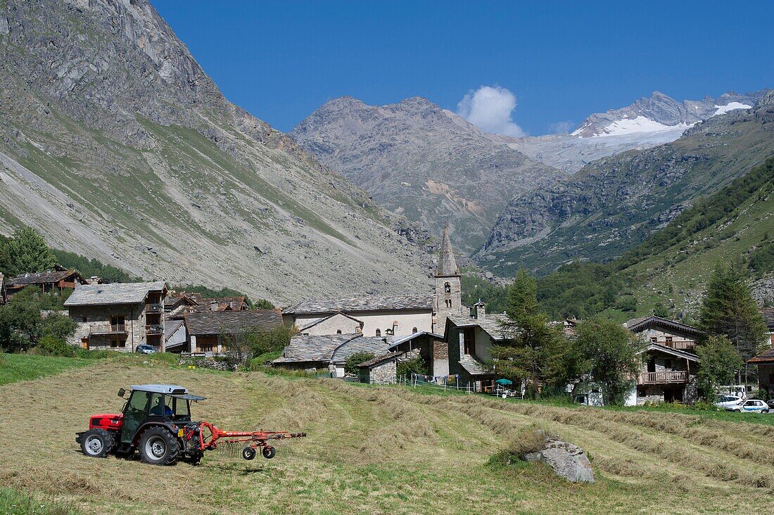 Frankreich, Savoie Haute Maurienne, Vanoise-Massiv, Paarc National, Bonneval sur Arc, Heumahd vor den Toren des Dorfes