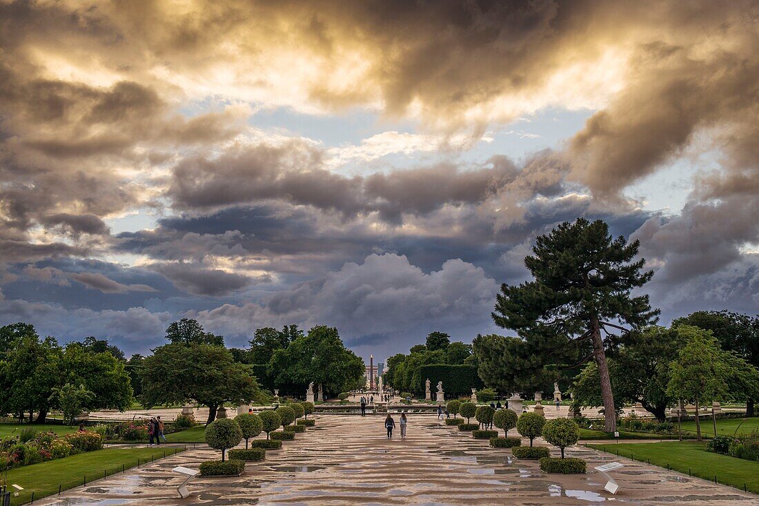 Frankreich, Paris, der Tuileriengarten nach dem Regenguss