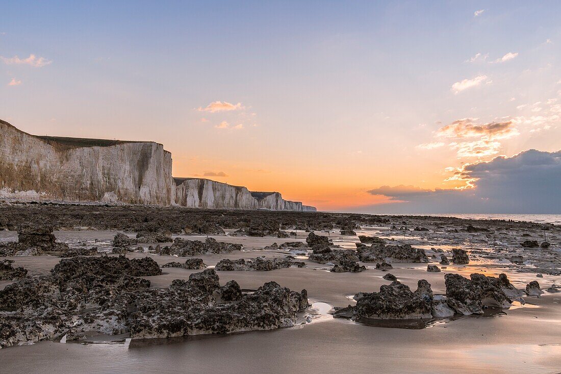 France, Somme, Ault, dusk on the cliffs at Ault, the low tide discovers the chalky plateau eaten by the sea and the flints that will become the pebbles