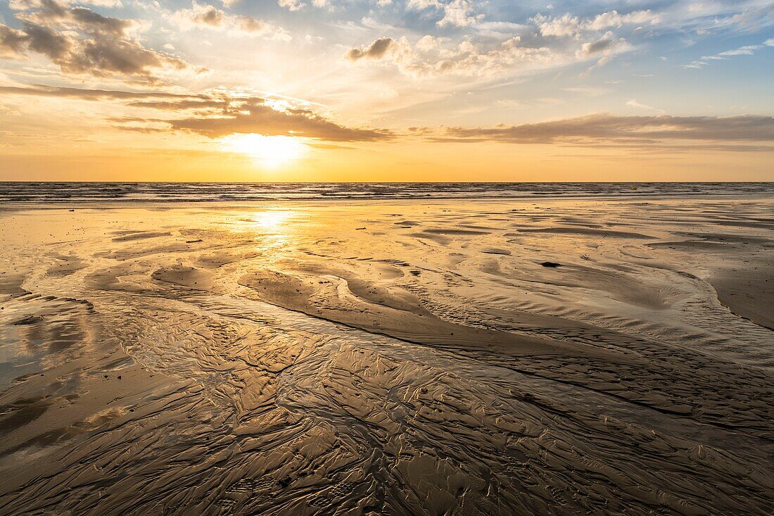 France, Somme, Ault, the meanders of water flowing on the beach at Ault at low tide at sunset