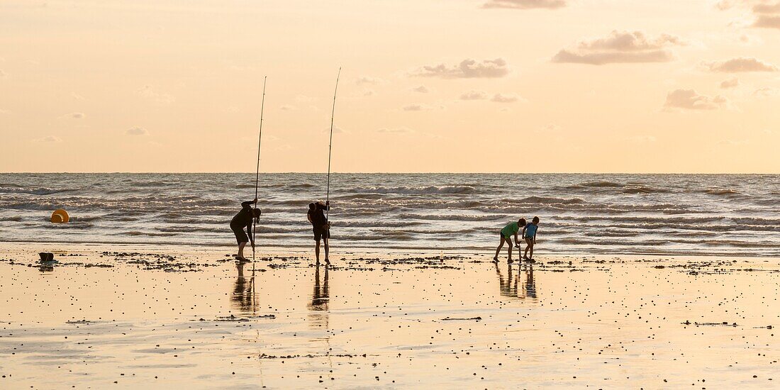 France, Somme, Ault, anglers on the beach of Ault as twilight settles down gradually