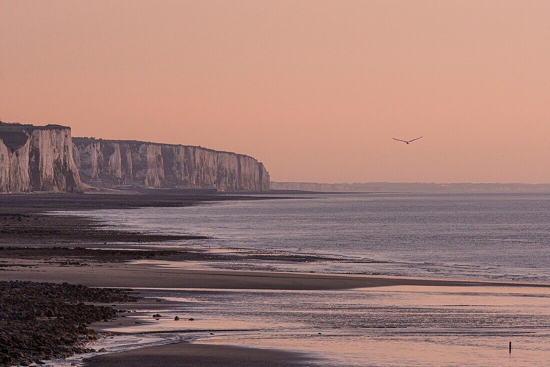 France, Somme, Ault, Sunset on the cliffs at Ault