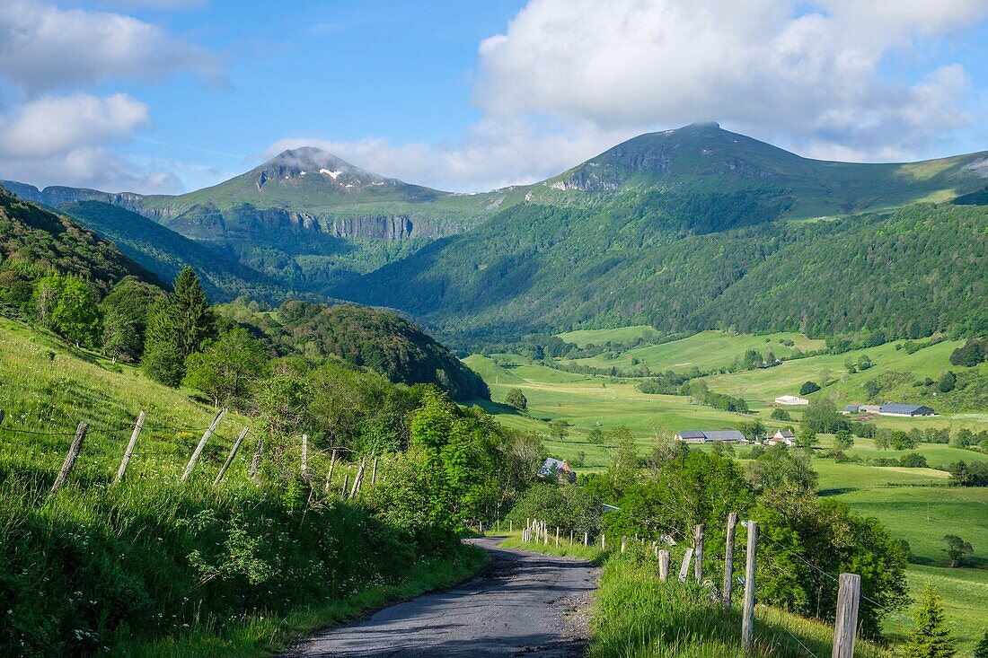 Frankreich, Cantal, Regionaler Naturpark der Vulkane der Auvergne, monts du Cantal (Cantal-Berge), vallee de Cheylade (Cheylade-Tal) bei Le Claux