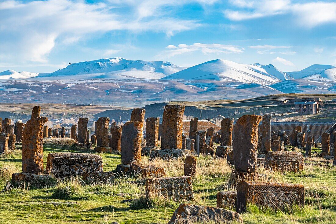 Armenia, Gegharkunik region, surroundings of Sevan, Noraduz (or Noratus), cemetery of medieval tombs called khachkars on the banks of Sevan lake