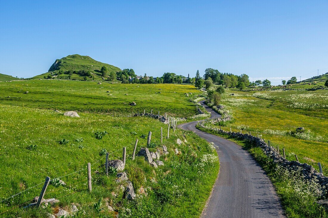 France, Lozere, Aubrac Regional Nature Park, route of Santiago de Compostela on the Aubrac plateau listed as World Heritage by UNESCO, landscape near Marchastel