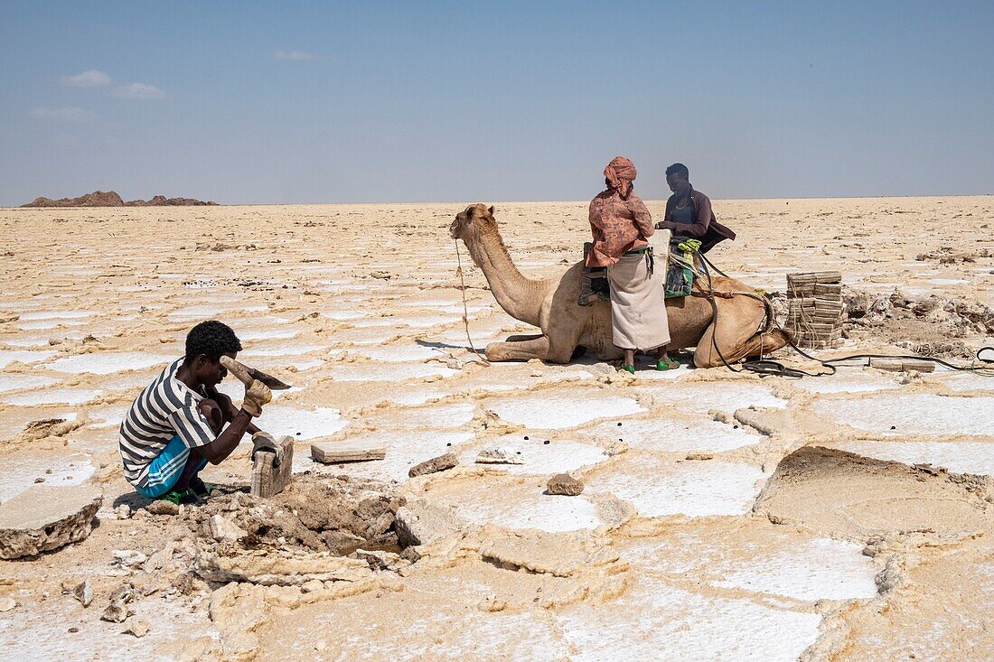 Äthiopien, Afar-Regionalstaat, Danakil-Senke, Karoum-See, Salzbergwerke