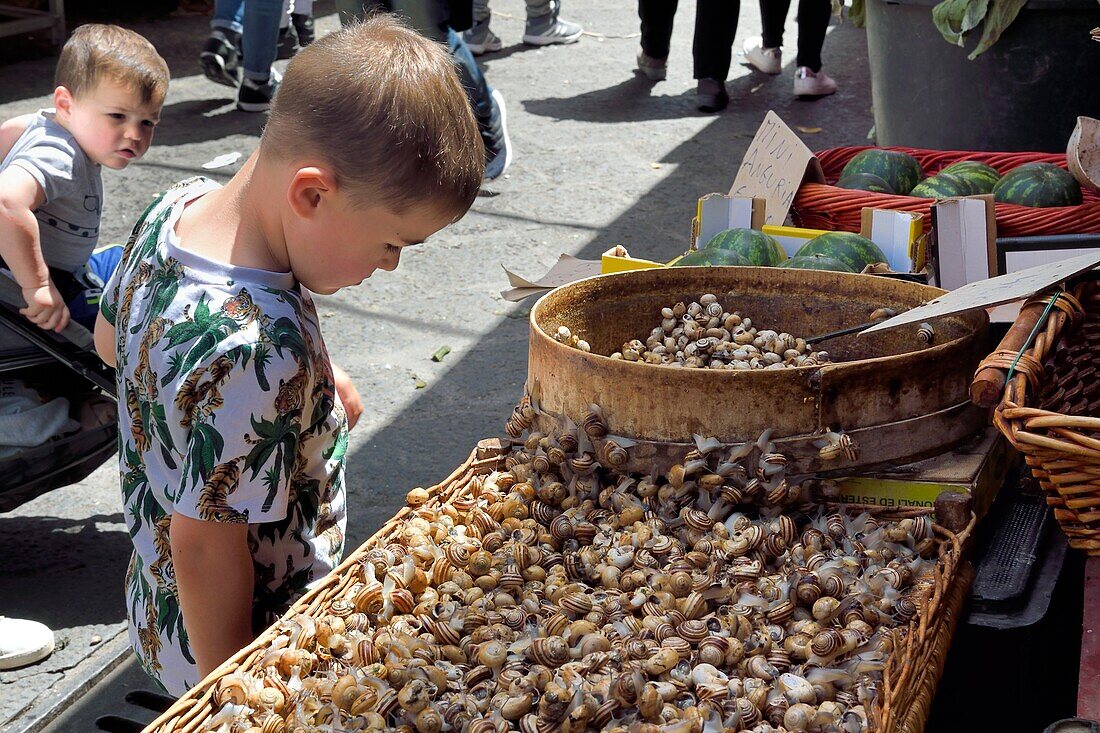 Italien, Sizilien, Catania, Barockstadt auf der Liste des UNESCO-Welterbes, der Pescheria-Morgenmarkt im Domviertel, auf dem lebende Schnecken verkauft werden