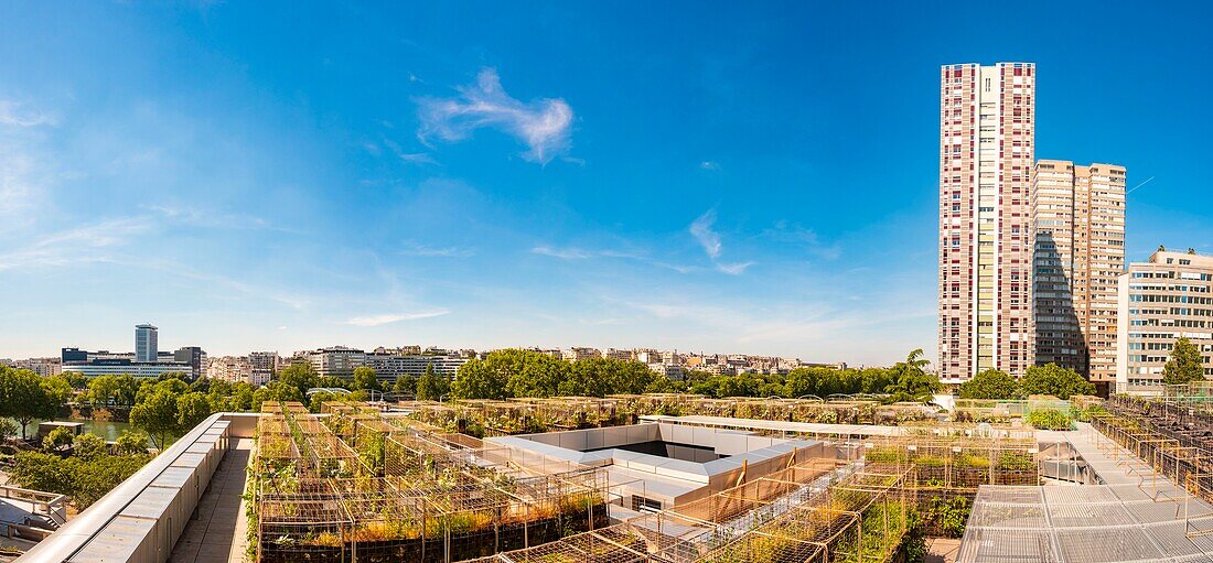 France, Paris, urban farmers Peas & Love, a new garden concept on the roof of the buildings, here on the Yooma Hotel of the Front de Seine