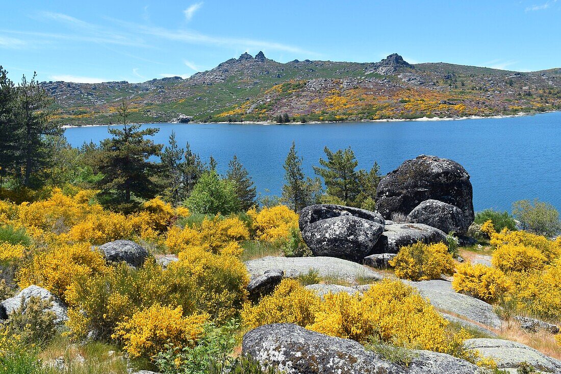 Portugal, center region, lake of Vale Do Rossim, Serra da Estrela natural park