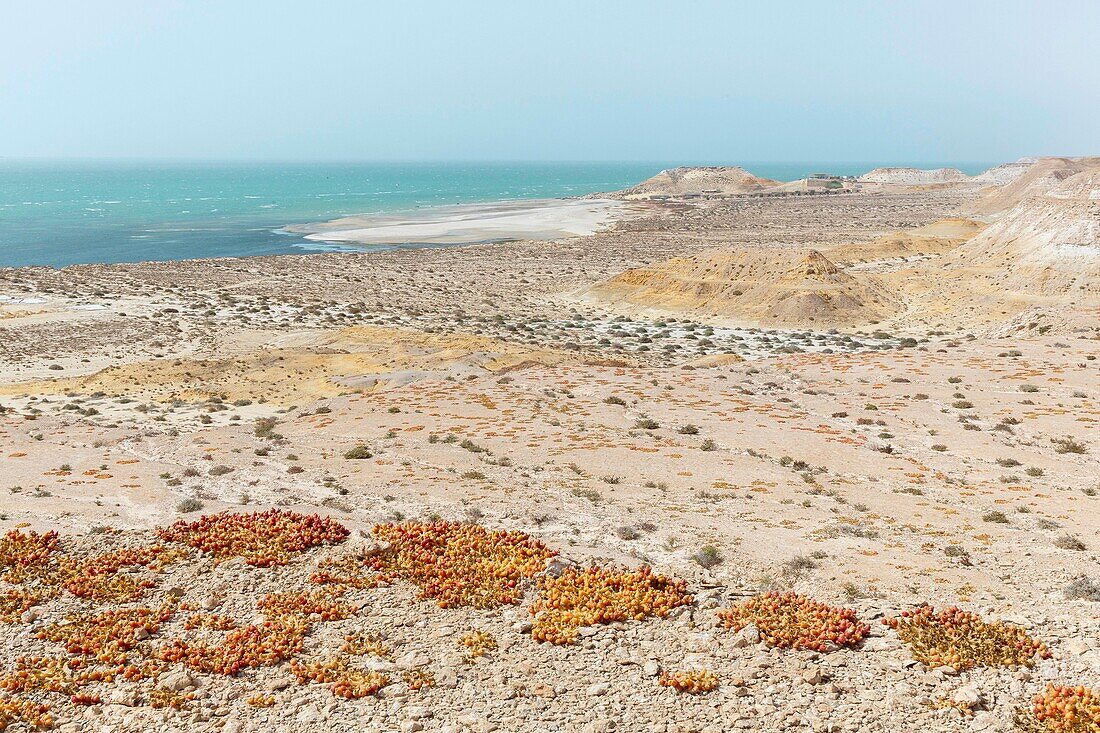 Marocco, Oued Ed-Dahab, Dakhla, view of an eco-lodge in a desert setting by the sea