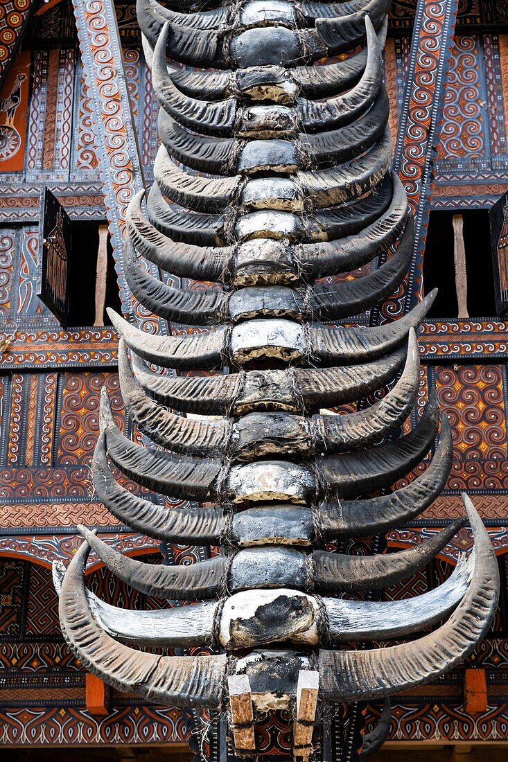 Indonesia, Sulawesi island, Toraja country, Tana Toraja, Rantepao area, Sadan Tobarana, facade of a traditional Toraja house with a lot of buffalo horns telling the wealth of the owner