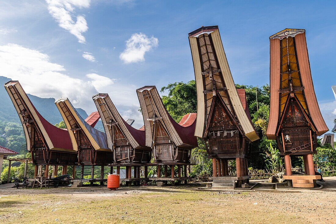 Indonesia, Sulawesi island, Toraja country, Tana Toraja, Rantepao area, Lempo, traditional Toraja houses