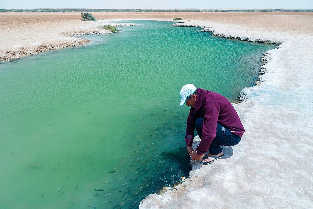 Marokko, Oued Ed-Dahab, Dakhla, Imlili, Figur am Rande eines Salzwasserlochs mitten in der Wüste