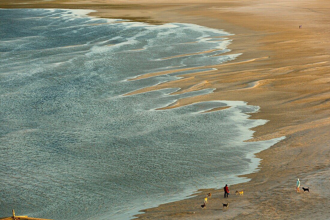 Marocco, Oued Ed-Dahab, Dakhla, family and their dogs strolling on the beach at sunset