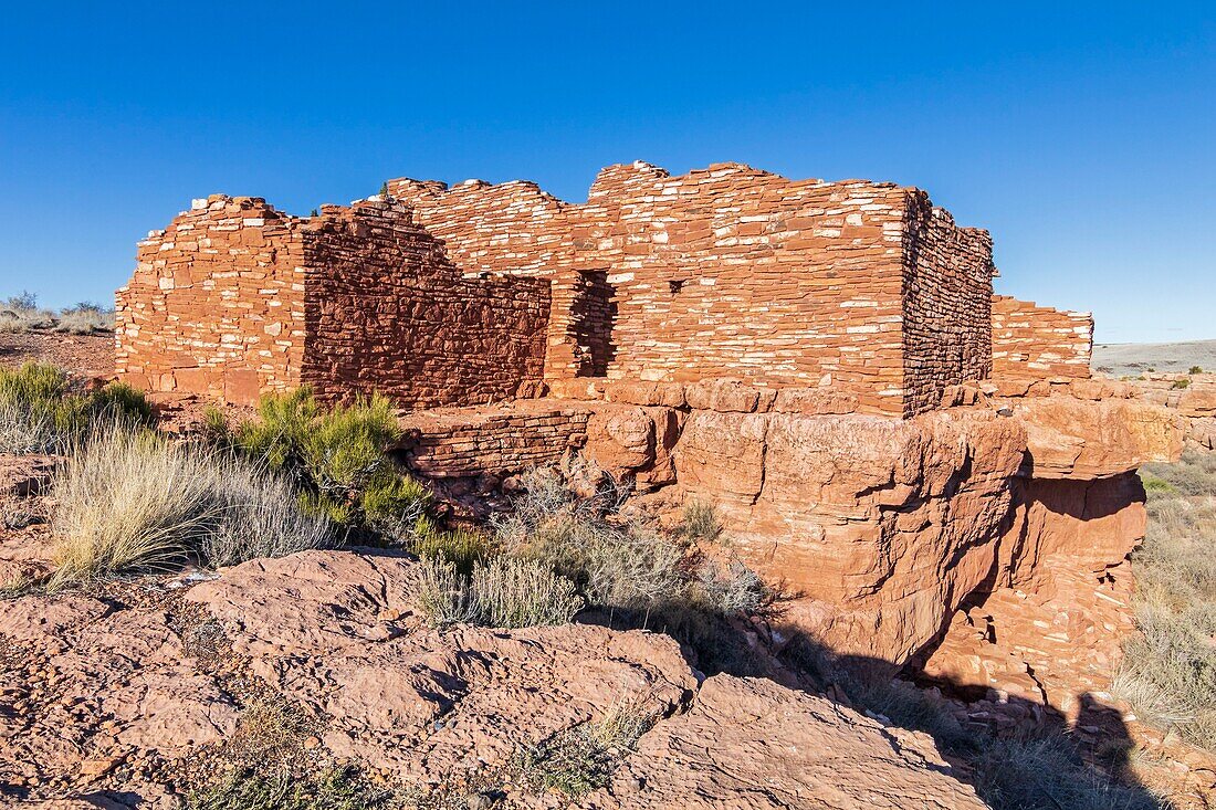 United States, Arizona, Wupakti National Monument near Flagstaff, indian ruines at Lomaki Pueblo