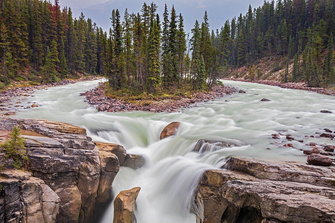 Kanada, Alberta, Kanadische Rocky Mountains, die zum UNESCO-Welterbe gehören, Jasper National Park, Sunwapta Falls am Athabasca River