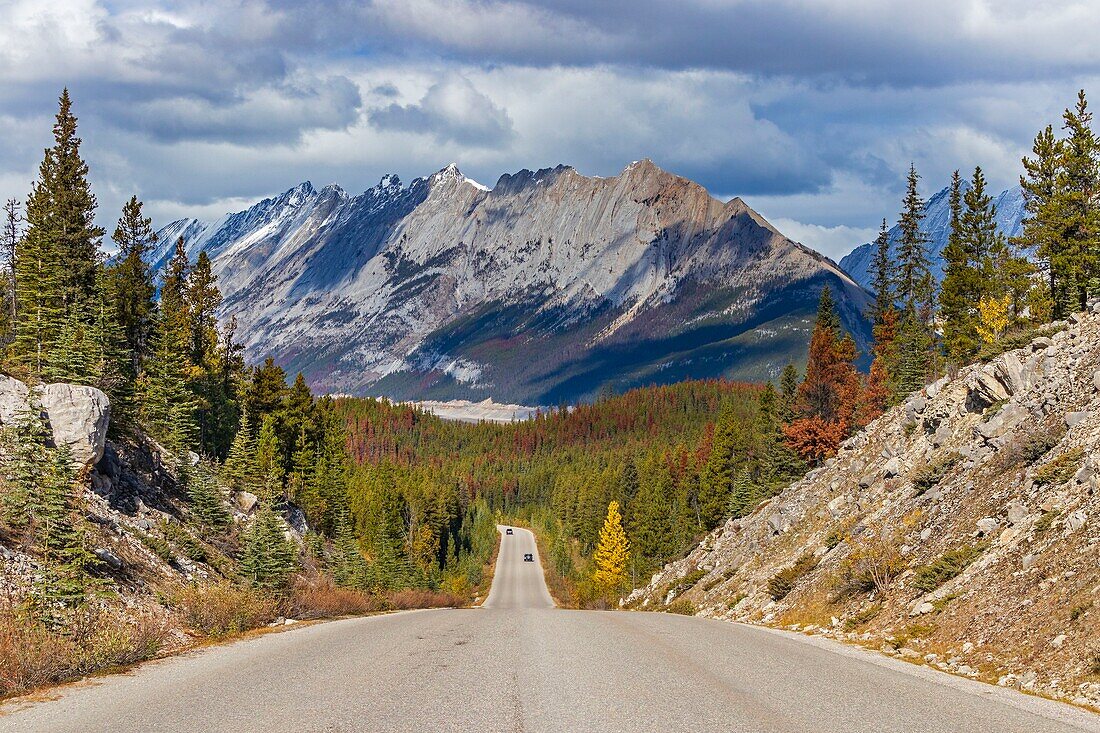 Kanada, Alberta, Kanadische Rocky Mountains, die zum UNESCO-Weltnaturerbe gehören, Jasper National Park, Maligne Lake Road mit der Colin Range im Hintergrund