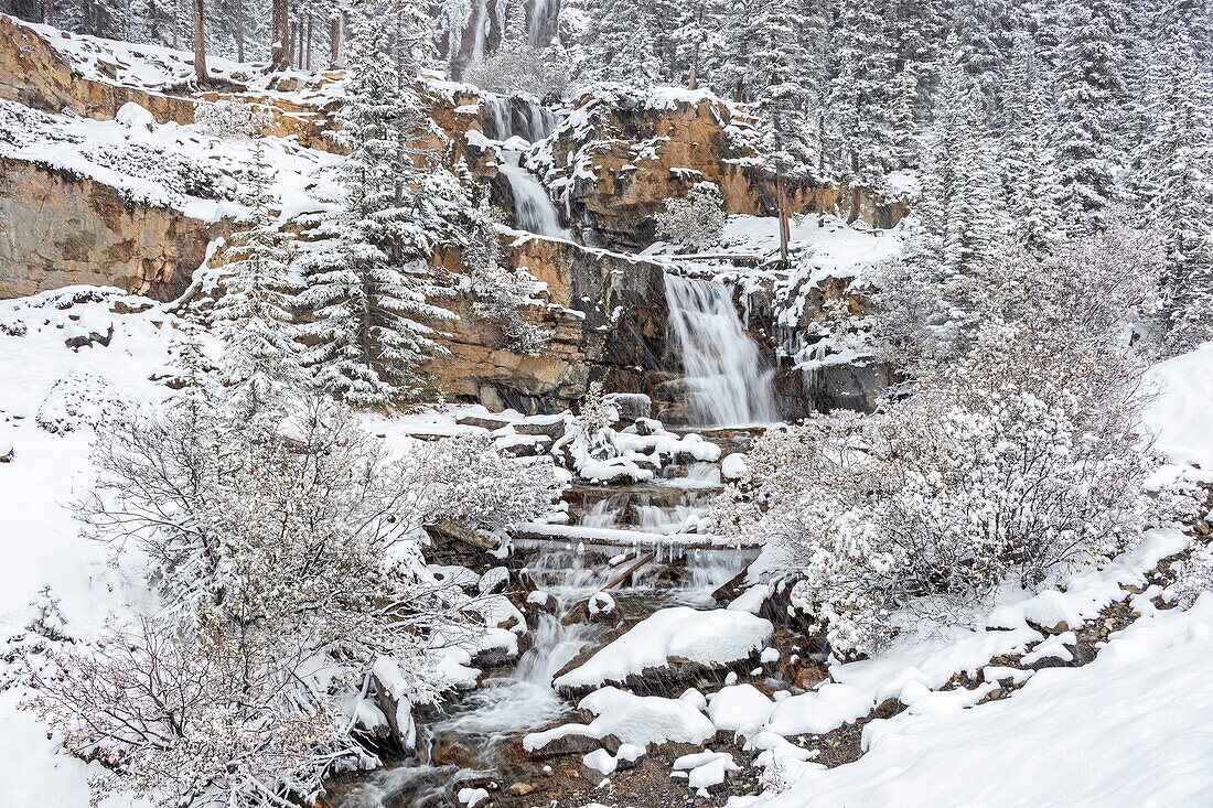 Kanada, Alberta, Kanadische Rocky Mountains, die zum UNESCO-Weltnaturerbe gehören, Jasper National Park, Icefields Parkway, Tangle Creek Wasserfälle im Winter