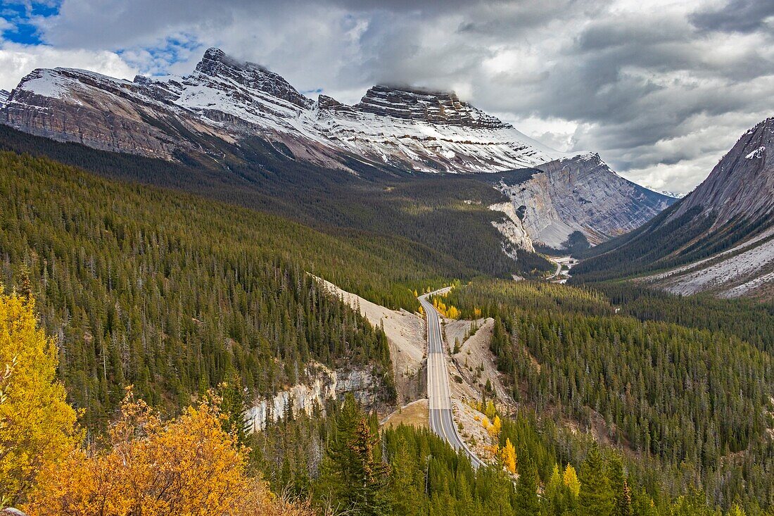 Kanada, Alberta, Kanadische Rocky Mountains, die zum UNESCO-Welterbe gehören, Banff National Park, Icefields Parkway near Parker Ridge