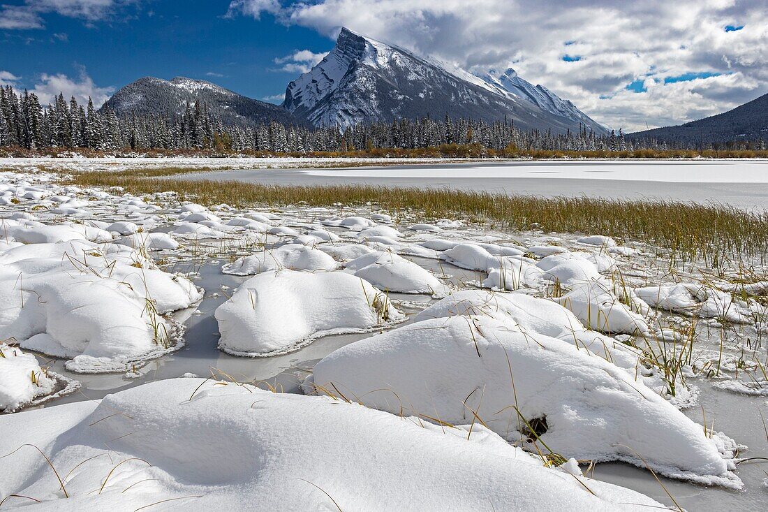 Kanada, Alberta, Kanadische Rocky Mountains, die zum UNESCO-Welterbe gehören, Banff National Park, Vermillion Lake und Mount Rundle in der Nähe der Stadt Banff